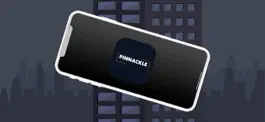 Game screenshot Pinnackle! mod apk