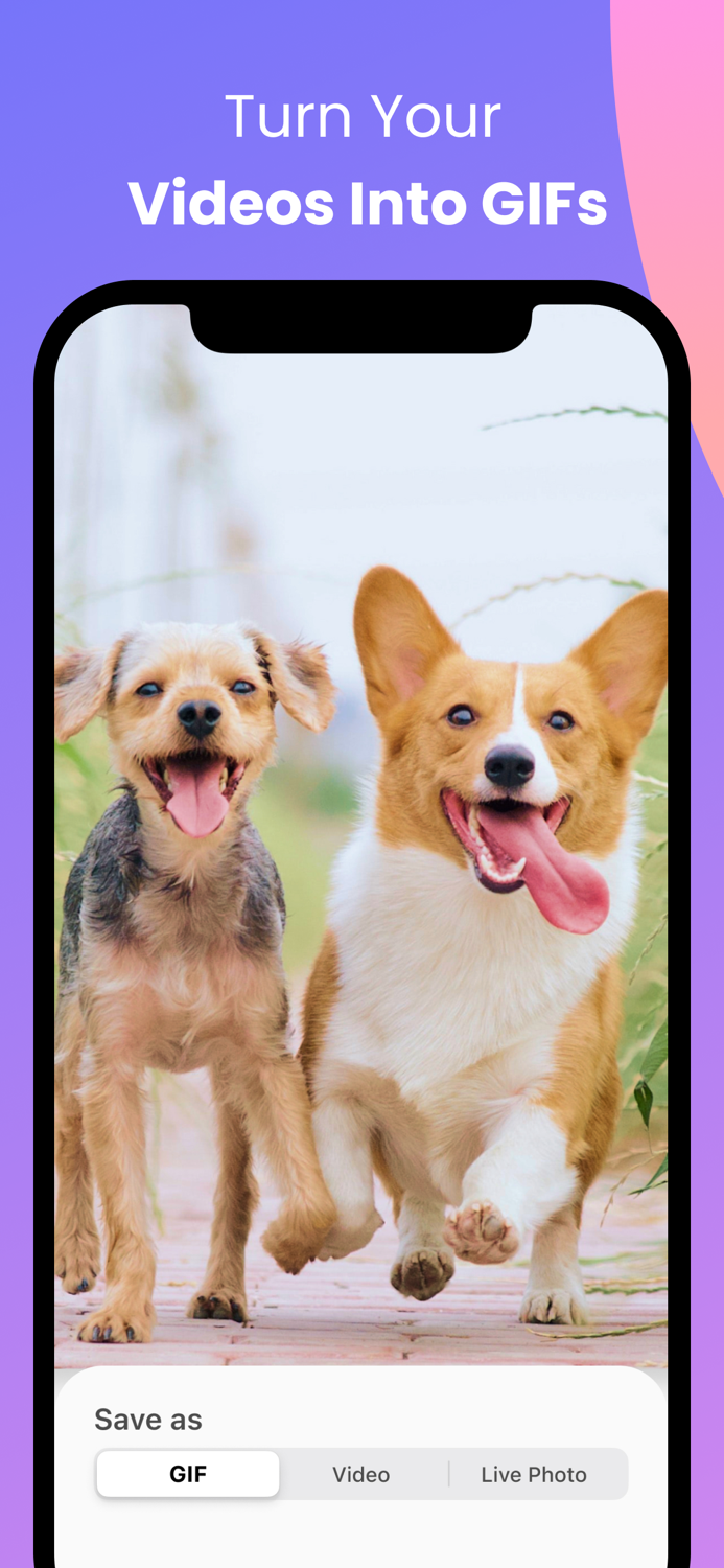 Convert - GIF and Live Wallpaper