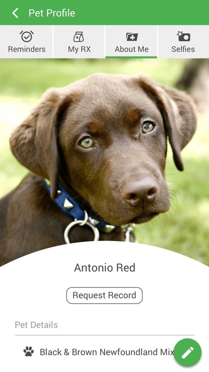 Good Shepherd Pet Hospital