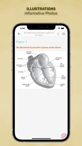 Game screenshot Diseases & Disorders: Nursing hack