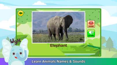 ABC Animal - Play Animal Noise Screenshot