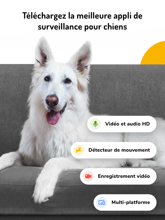 Screenshot #4 pour Barkio: Moniteur pour chien