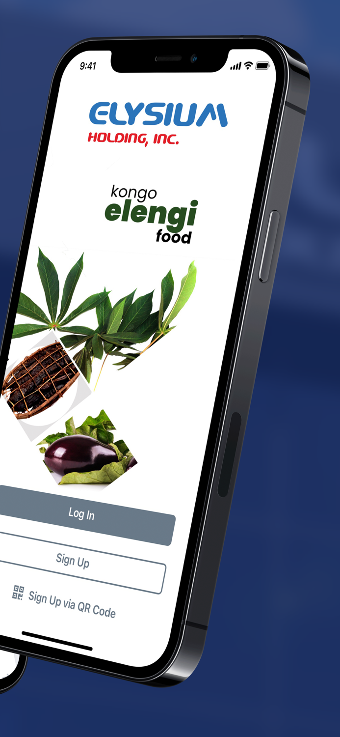 Elysium Holding Inc.