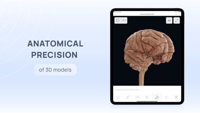 VOKA 3D Human Anatomy AR Atlas Screenshot