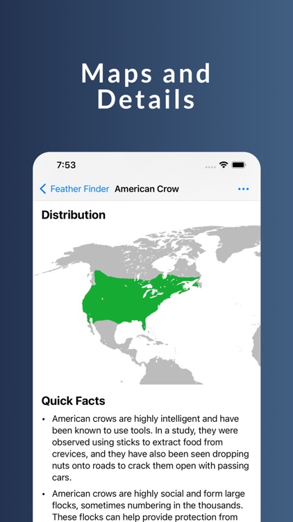 Feather Finder - A Bird Guide screenshot-3