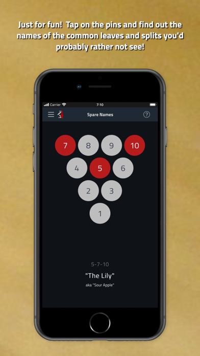 Tenpin Toolkit: Bowling Tools Screenshot