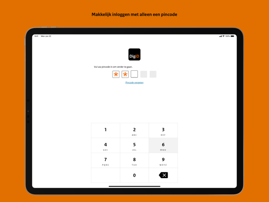 DigiD iPad app afbeelding 3