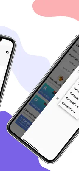Game screenshot Chestionare Auto Examen DRPCIV apk
