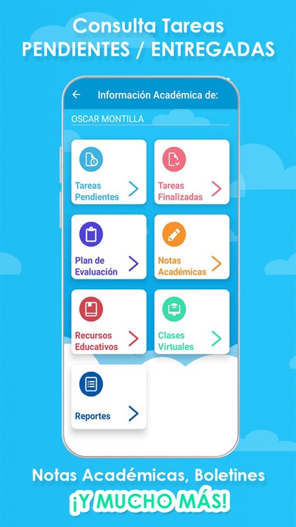 SAE Representante screenshot-4