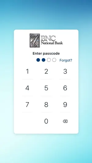 BNC Bank screenshot 2