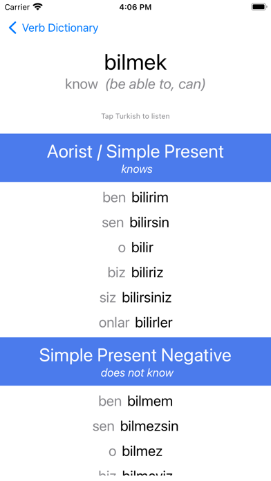 Turkish Verb Blitz Screenshot
