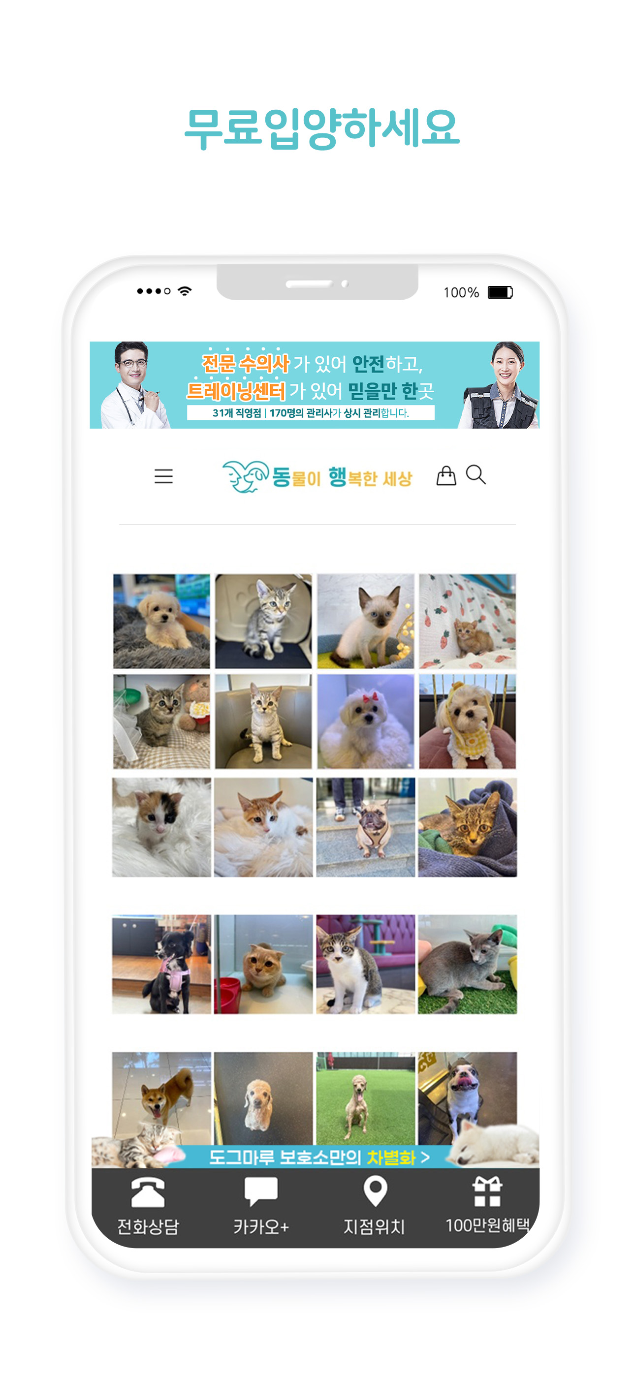 도그마루 보호소 - 강아지무료분양 고양이무료분양