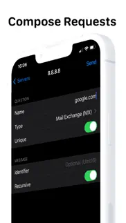 dns client iphone capturas de pantalla 2