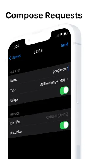 Capture d'écran de DNS Client sur iPhone 2