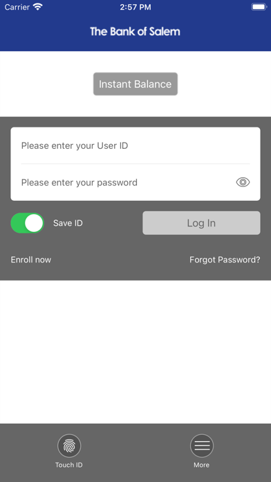 BANK OF SALEM MISSOURI Screenshot
