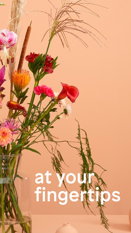 bloomon - your online florist