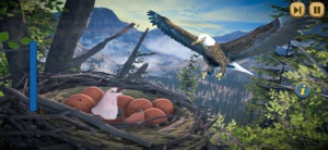 Eagle Bird Wild Life Sim Games screenshot #1 for iPhone