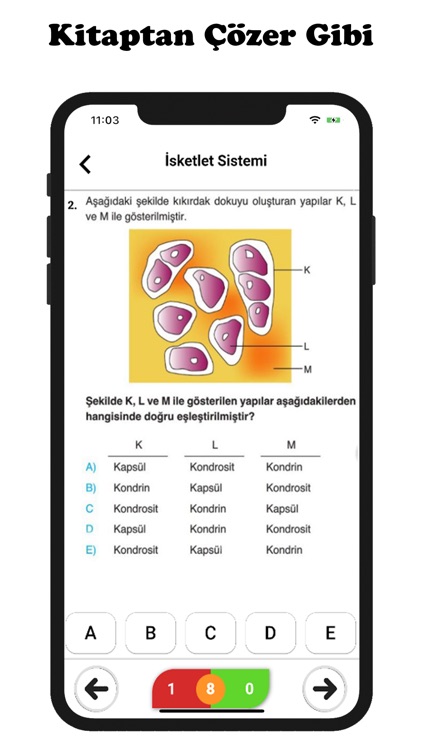 Ayt Biyoloji screenshot-3