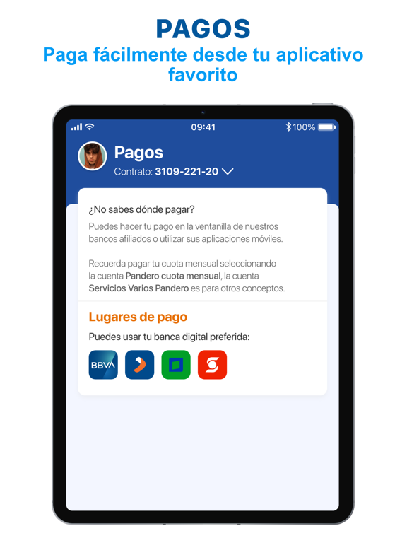 Pandero iPad screenshot 4 - Finance app