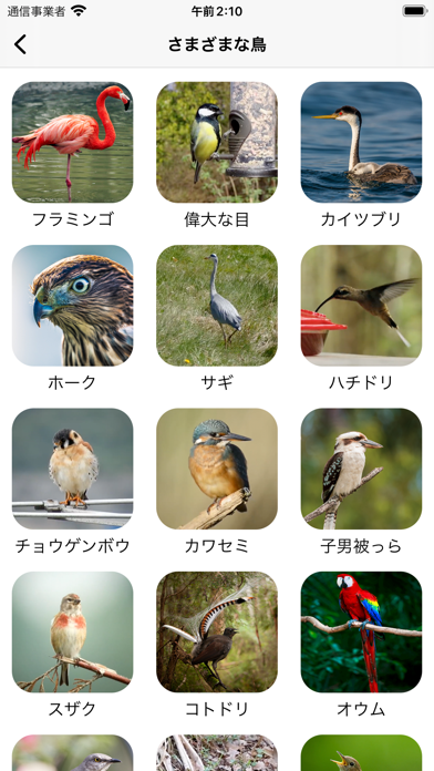 動物の鳴き声Pro - 動物の世界の自然の... screenshot1