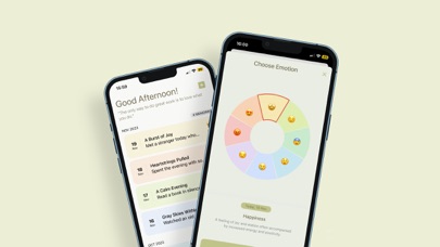Serenity Journal - Daily Diary Screenshot
