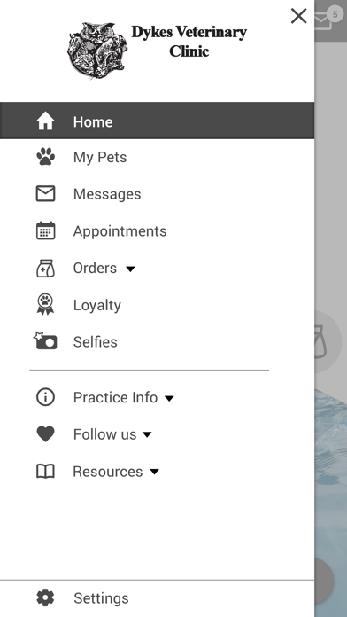 Dykes Veterinary Clinic Screenshot