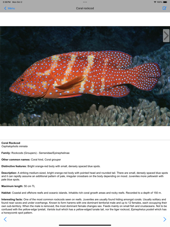 Screenshot #6 pour Coastal Fishes
