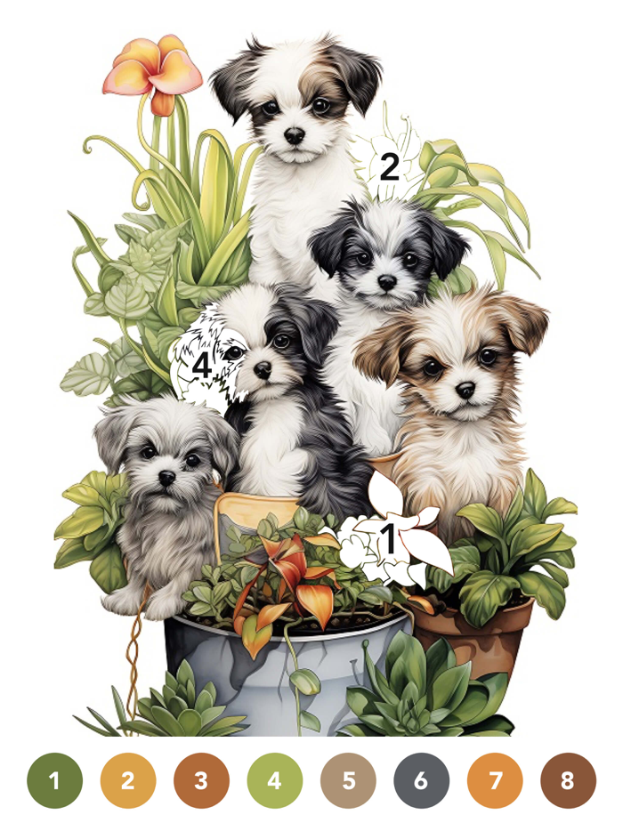 Paint.ly Color by Number