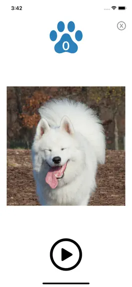 Game screenshot Slider Dog apk