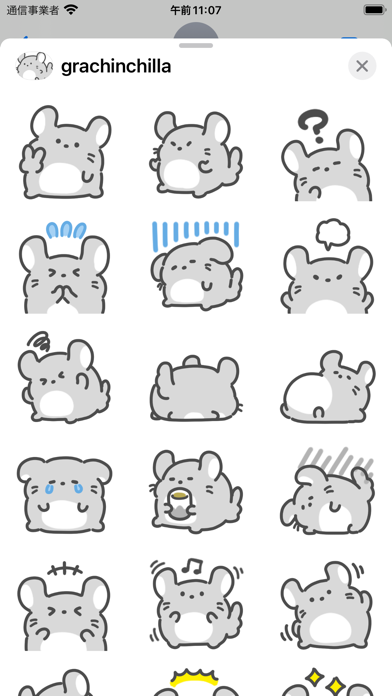 gray chinchilla sticker Screenshot