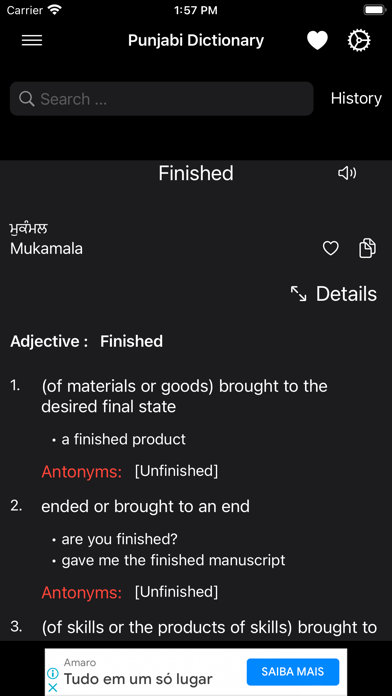 Smart Punjabi Dictionary Screenshot