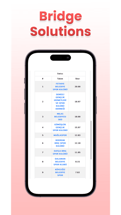 Bridge Solutions Screenshot