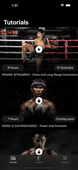 Game screenshot Master Muay Thai apk