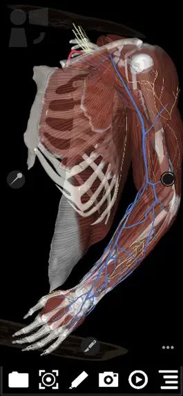 Game screenshot 3Dissect Upper Limb apk