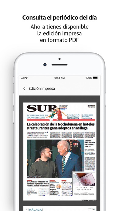 Diario Sur Screenshot