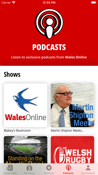 Wales Online Screenshot