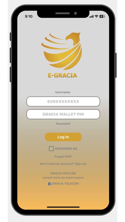 E-GRACIA screenshot-4