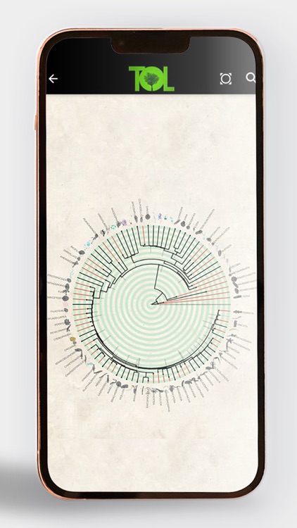 Tree of Life - ToL App