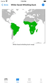 birds from southern africa problems & solutions and troubleshooting guide - 1