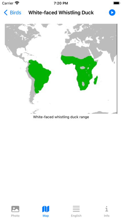 Birds from Southern Africa Screenshot