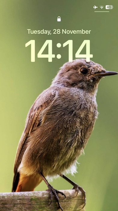Live Wallpaper-Cool Background Screenshot