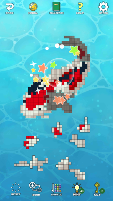 Dot Piece Puzzle Screenshot