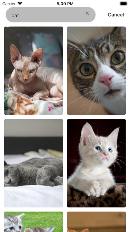 Color Cascade - AI Wallpaper screenshot-4