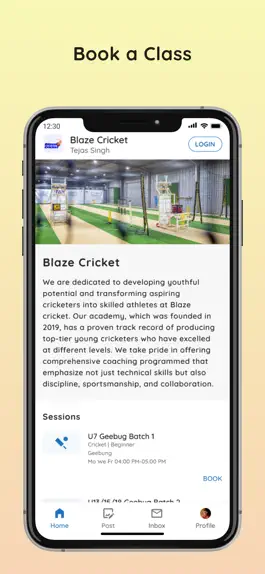 Game screenshot Blaze Cricket mod apk