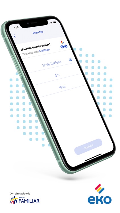Eko Paraguay screenshot-4