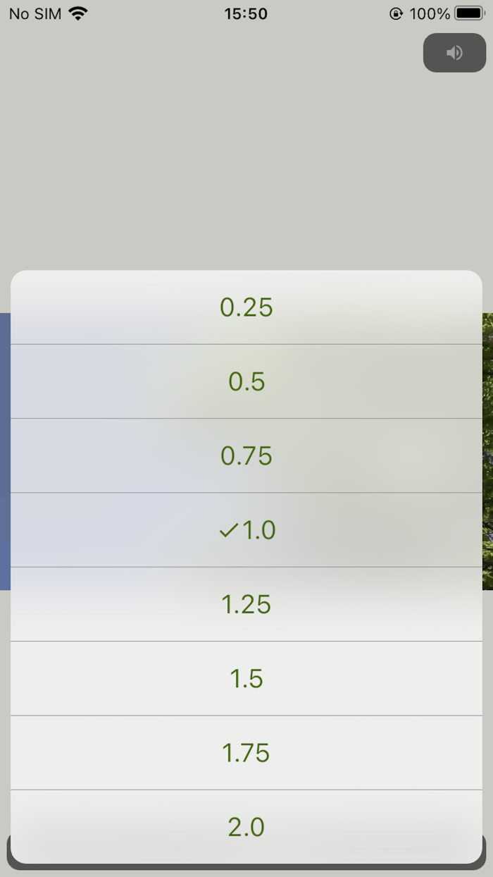 PlayX2 - double-speed playback