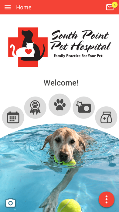 South Point Pet Hospital Screenshot