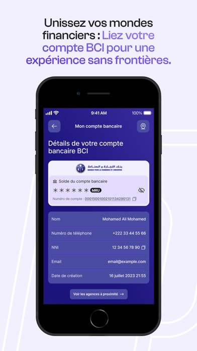 BCIpay Screenshot