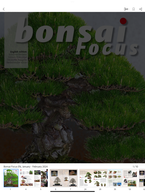 Screenshot #5 pour Bonsai Focus EN