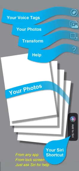 Game screenshot PhotoVoiceTag apk